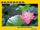ֹ,½󷨵ӹףʦ(31)
