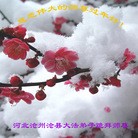 Published on 2/13/2013 ���ֹ�,��½�󷨵��ӹ�ףʦ��������֣�34����
