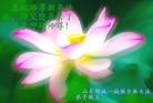 ֹ,½󷨵ӹףʦ(31)
