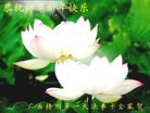 ֹ,½󷨵ӹףʦ(31)
