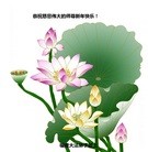 Published on 2/13/2013 ���ֹ�,��½�󷨵��ӹ�ףʦ��������֣�36����
