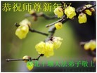 ֹ,½󷨵ӹףʦ(31)
