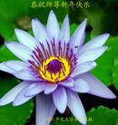 Published on 2/13/2013 ���ֹ�,��½�󷨵��ӹ�ףʦ��������֣�30����
