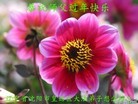 ֹ,½󷨵ӹףʦ֣39

