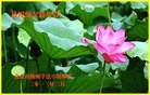 ֹ,½󷨵ӹףʦã45

