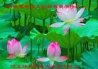 ֹ,½󷨵ӹףʦã45
