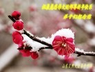 ֹ,½󷨵ӹףʦã45
