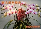 ֹ,½󷨵ӹףʦã45
