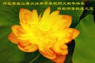 ֹ,½󷨵ӹףʦã45
