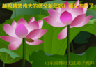 ֹ,½󷨵ӹףʦã42
