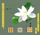 ֹ,½󷨵ӹףʦã43
