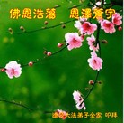 ֹ,ʡ󷨵ӹףʦ֣24
