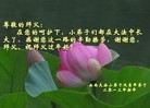 ֹ,ϴ󷨵ӹףʦ֣18
