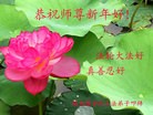 ֹ,󷨵ӹףʦ(24)
