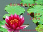 ֹ,󷨵ӹףʦ(24)
