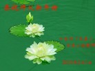 ֹ,󷨵ӹףʦã42
