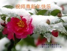 ֹ,д󷨵ӹףʦ(21)
