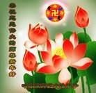 Published on 2/11/2013 ���ֹ�,��½�󷨵��ӹ�ףʦ��������֣�22����
