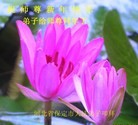 ֹ,󷨵ӹףʦ֣19
