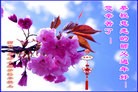 ֹ,󷨵ӹףʦ(28)
