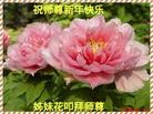 ֹ,ɹŴ󷨵ӹףʦ֣26
