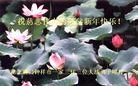 ֹ,󷨵ӹףʦ(29)
