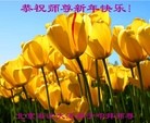 ֹ,󷨵ӹףʦ֣24
