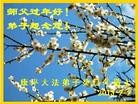 ֹ,󷨵ӹףʦã19
