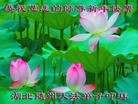 ֹ,󷨵ӹףʦã27
