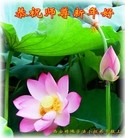 ֹ,󷨵ӹףʦ(28)
