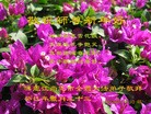 ֹ,󷨵ӹףʦ(19)
