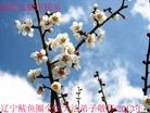 ֹ,󷨵ӹףʦã24
