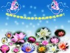 ֹ,󷨵ӹףʦ֣18
