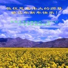 ֹ,󷨵ӹףʦ(25)
