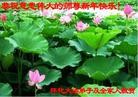 ֹ,ϴ󷨵ӹףʦ֣23
