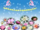 ֹ,󷨵ӹףʦ֣18
