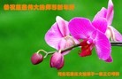 ֹ,ʯׯ󷨵ӹףʦã20
