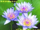 ֹ,󷨵ӹףʦã46
