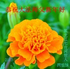 Published on 2/10/2013 ���ֹ�,���������˼����Ӽ�����ʦ�����(19��)
