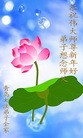 ֹ,ൺ󷨵ӹףʦ(24)
