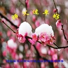 Published on 2/11/2013 ���ֹ�,��½�󷨵��ӹ�ףʦ������ã�18����
