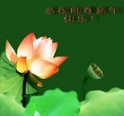 Published on 2/11/2013 ���ֹ�,��½�󷨵��ӹ�ףʦ������ã�15����
