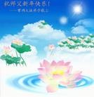 Published on 12/29/2015 ���ֹ�,��½�󷨵��ӹ�ףʦ���������(29��)
