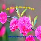 ֹ,½󷨵ӹףʦ(31)
