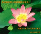 ֹ,ɹŴ󷨵ӹףʦã45

