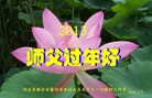 ֹ,ȷ󷨵ӹףʦã20
