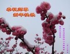 ֹ,󷨵ӹףʦã23
