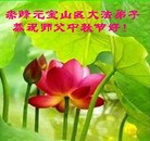 ֹ,ɹŴ󷨵ӹףʦ(22)
