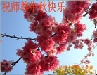 ֹ,ϴ󷨵ӹףʦ(22)
