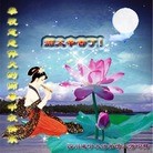 Published on 9/18/2013 ���ֹ�,��½�󷨵��ӹ�ףʦ�������(39��)
